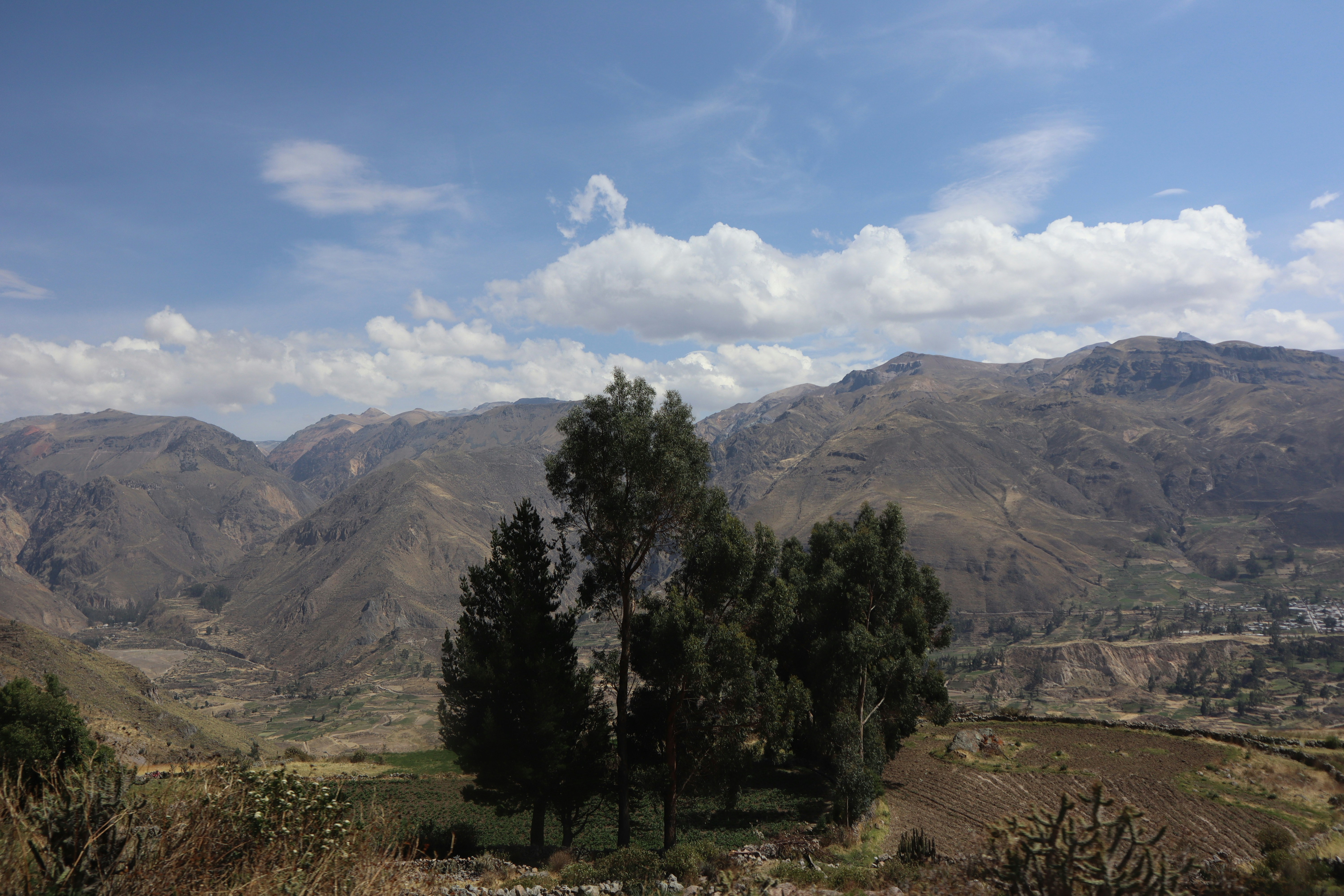 Photo by petrus301179