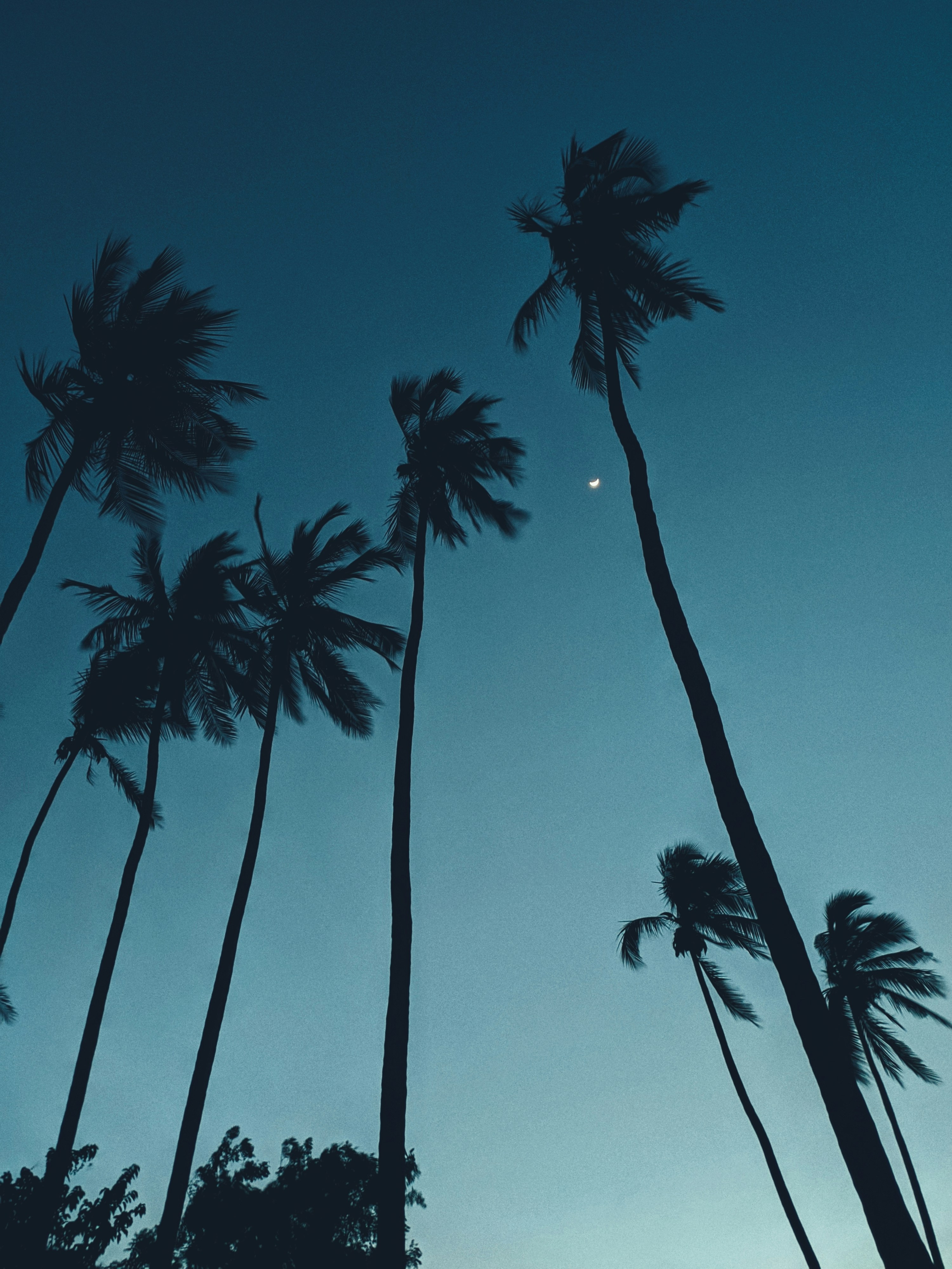 Photo by jasperamethyst