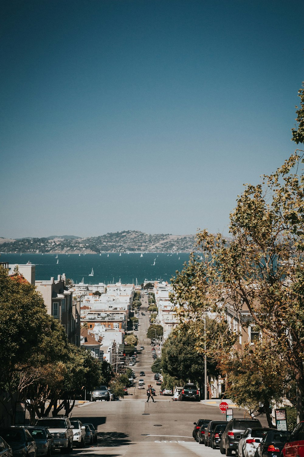 green trees near body of water during daytime