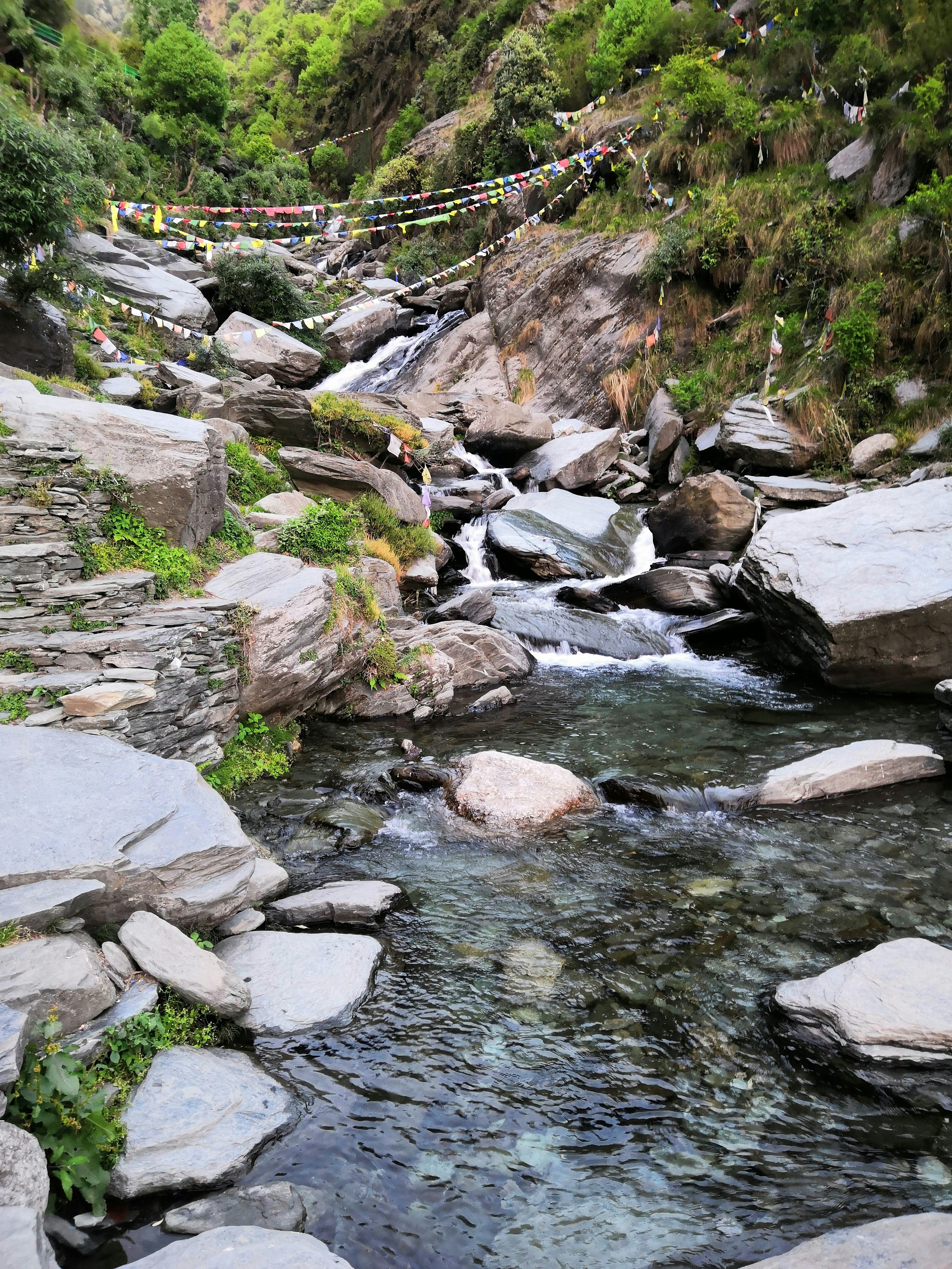 Photo by jackiebruno