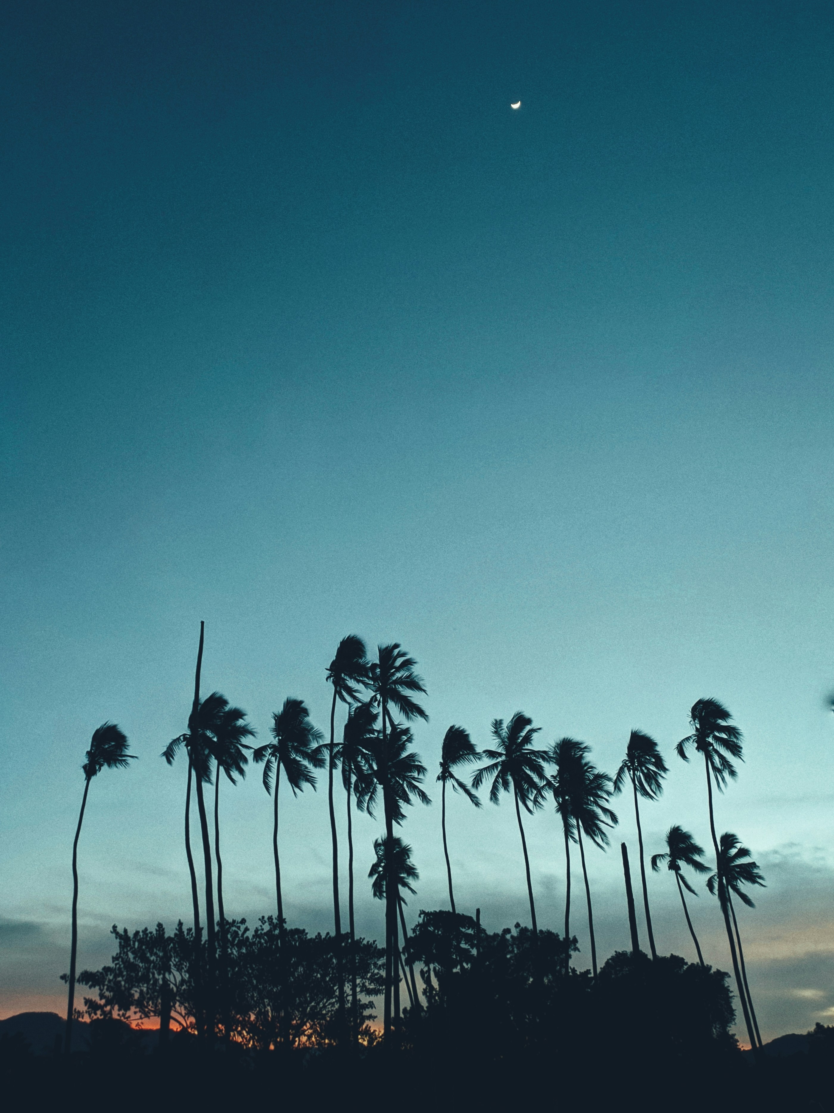 Photo by jasperamethyst