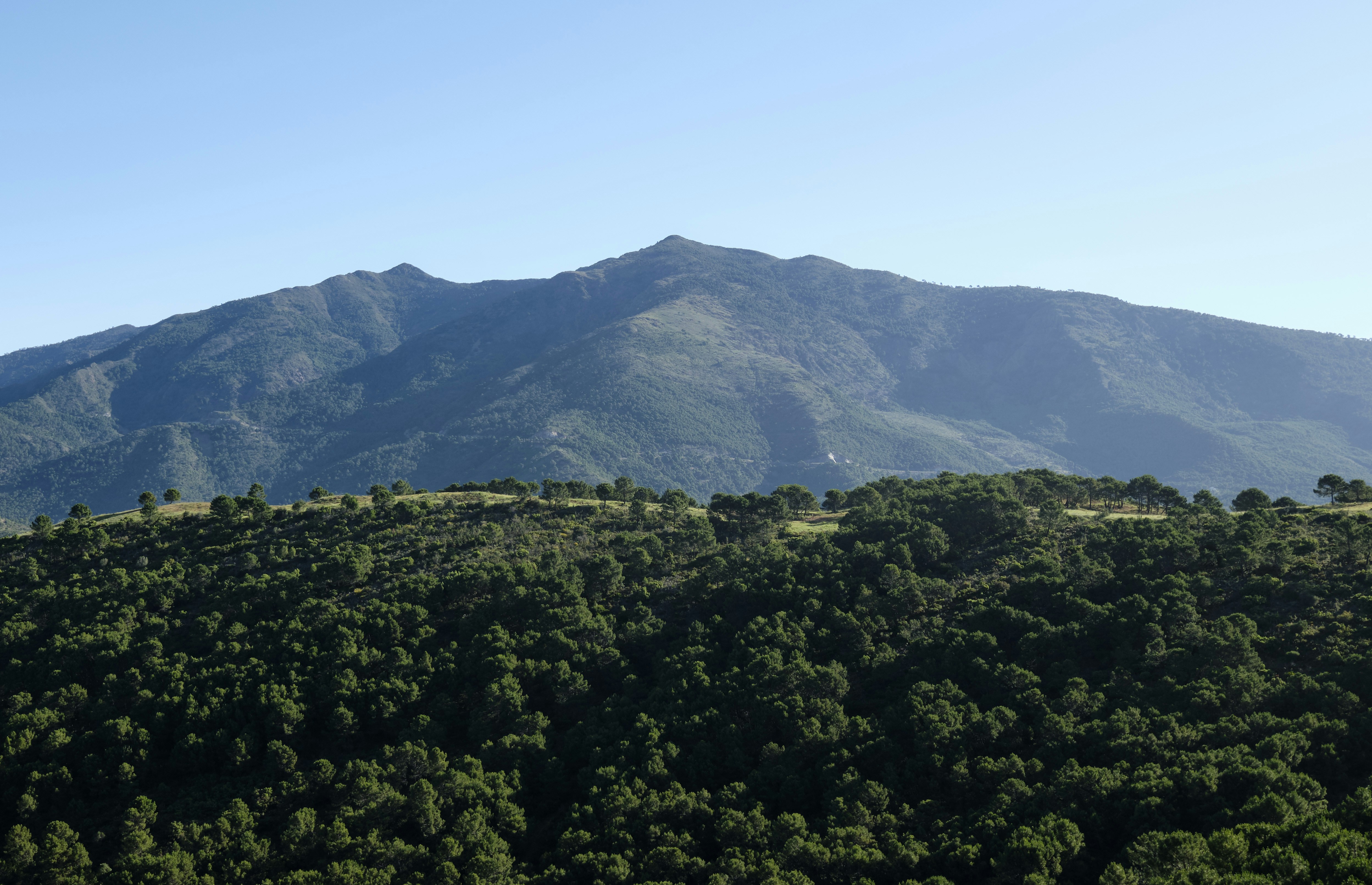 Photo by victor_vector