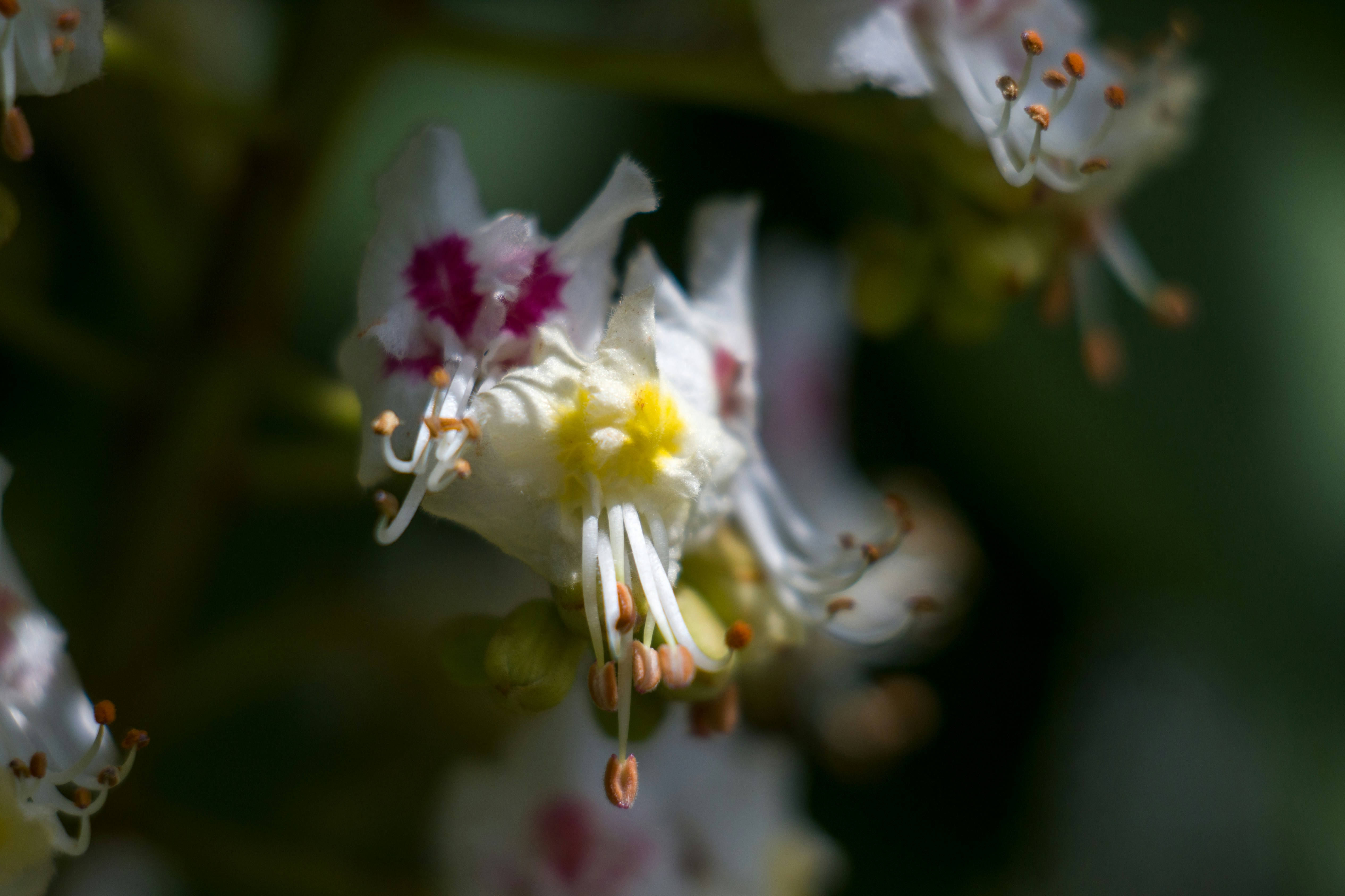 Photo by uin84917798