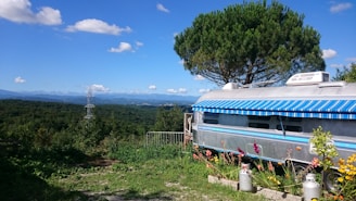 Vintage airplane trailer surrounded by soft pastel flowers in a cozy urban setting.