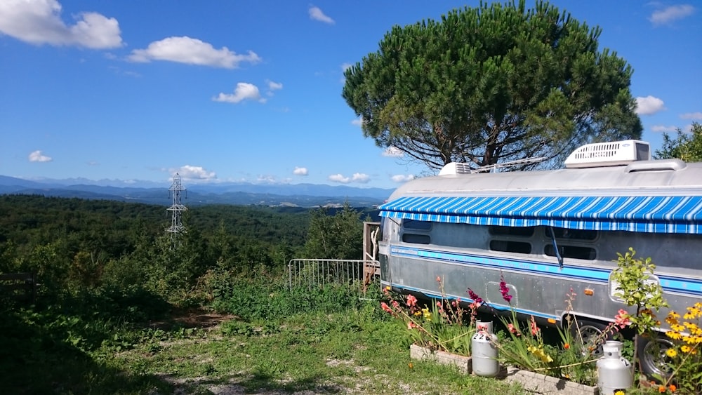 white and blue train on rail during daytime