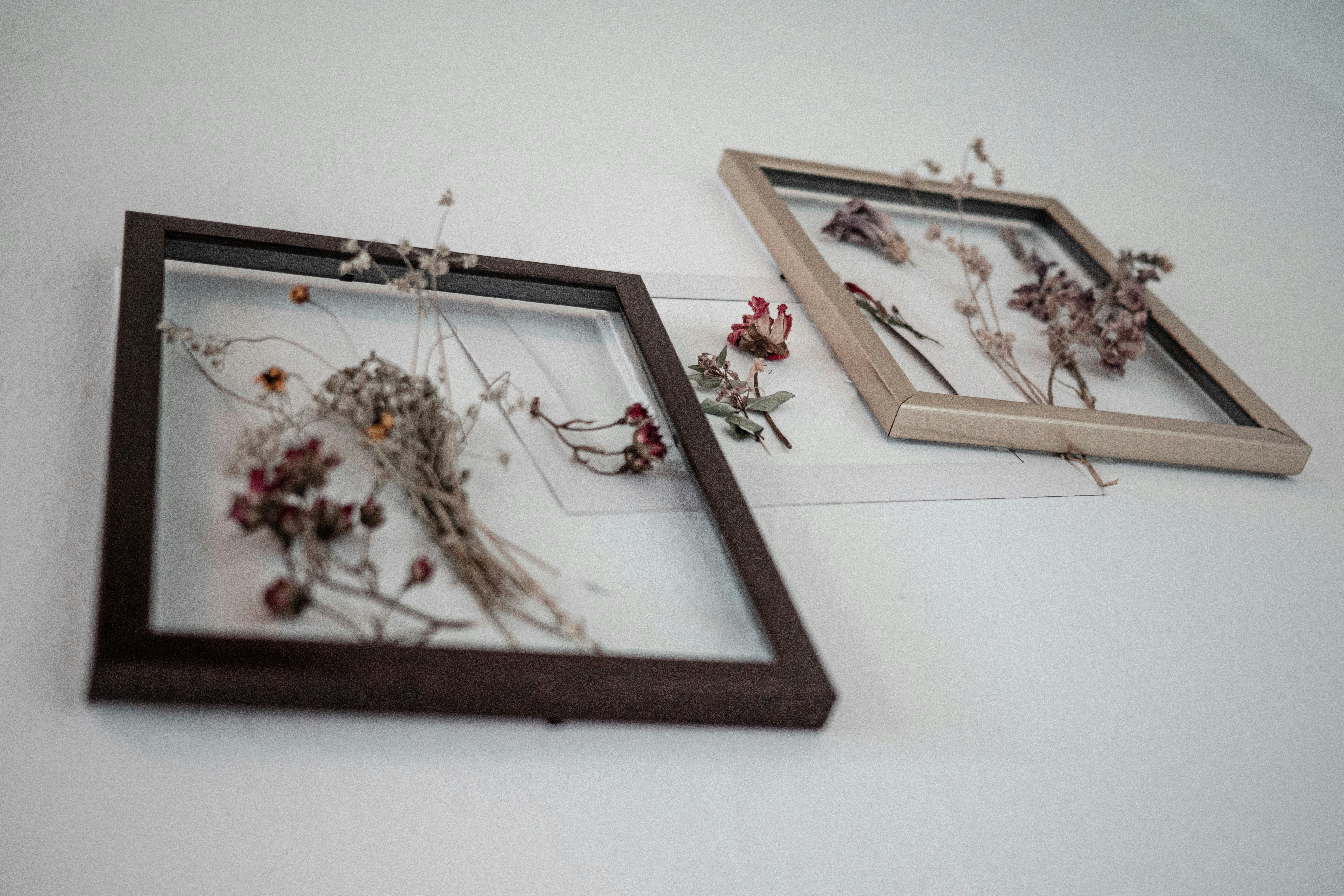 Photo by pedrotheartist