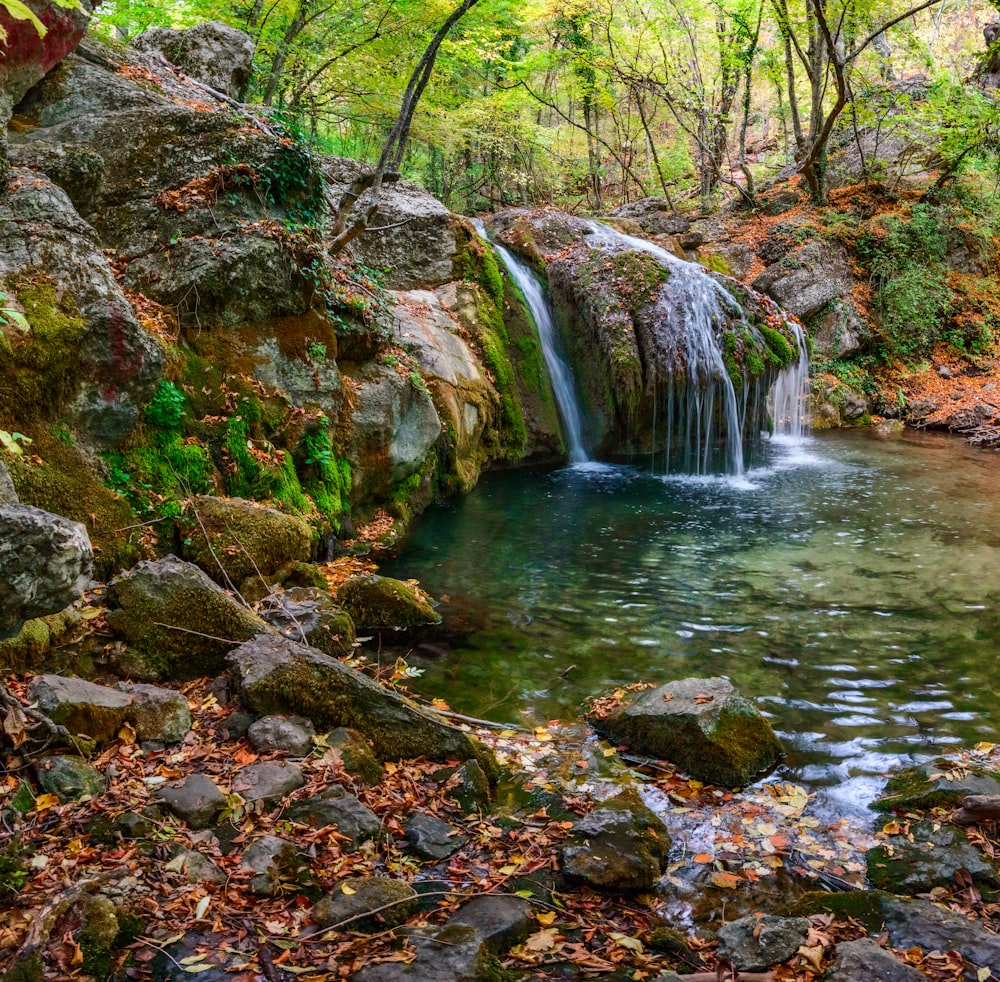 water falls in the middle of the forest