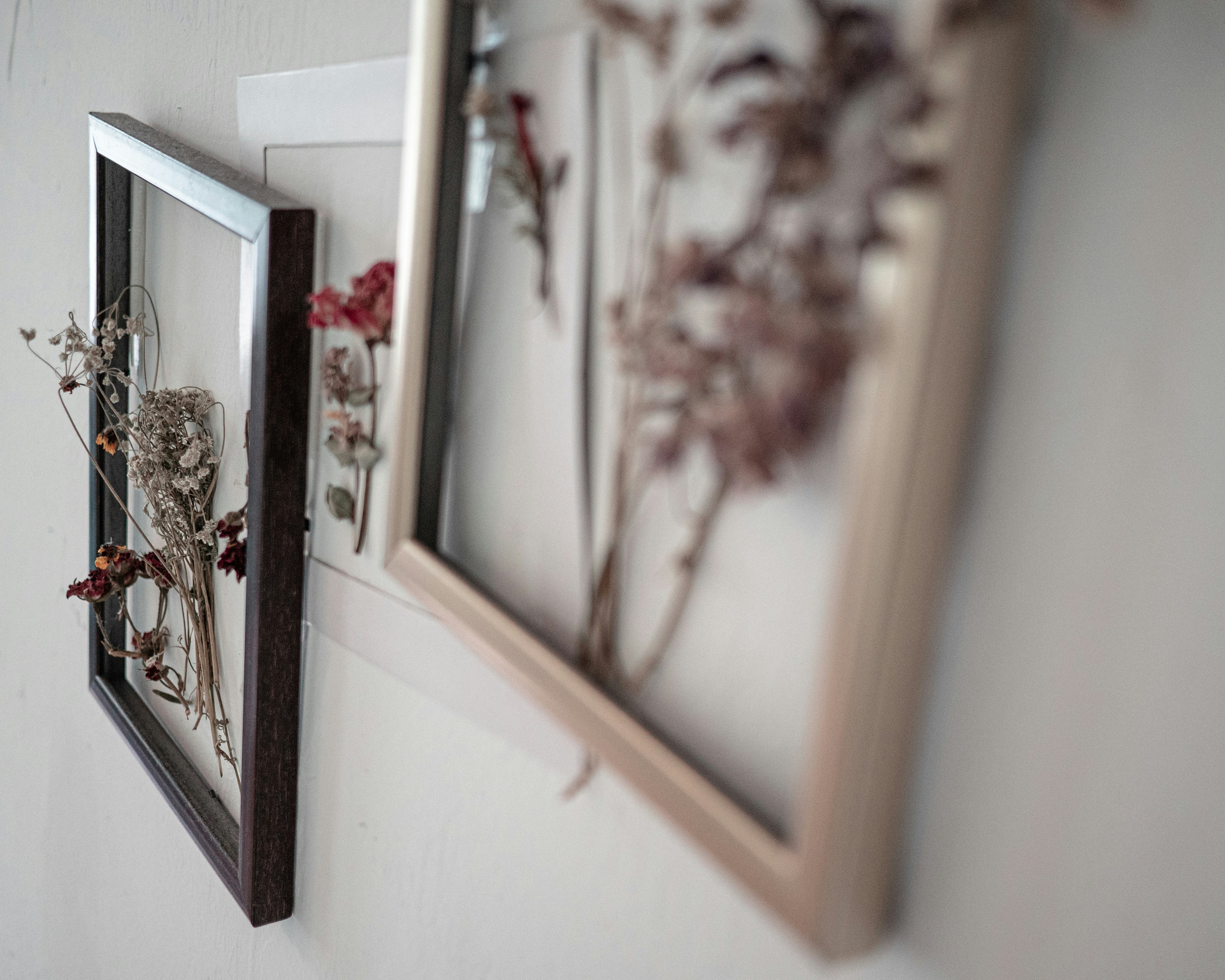 How The Lexus Became No.1