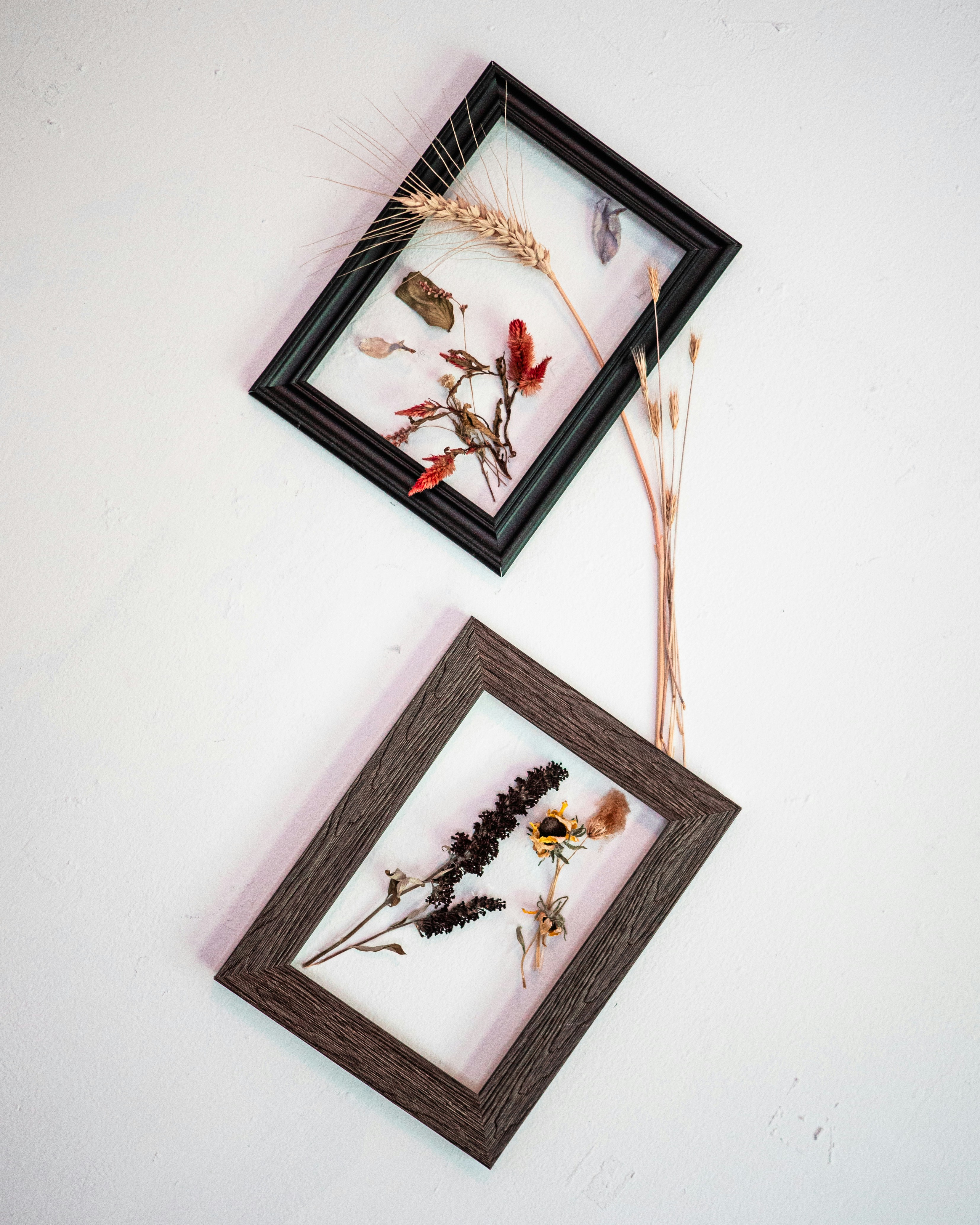 Photo by pedrotheartist