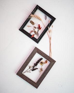 white and red flower painting