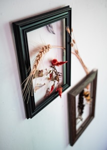 Two picture frames hung on a wall contain dried plants and flowers. The frame in the foreground has a prominent wheat stalk and red flowers. The frames add a rustic and artistic touch.
