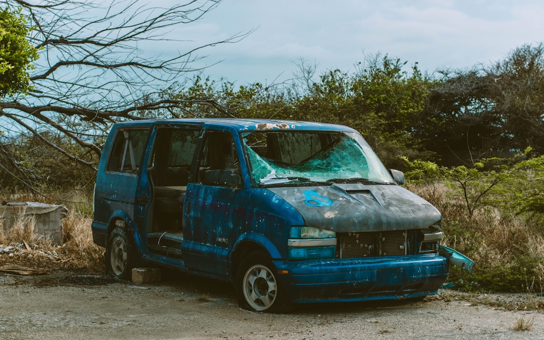 blue van parked beside bare tree during daytime