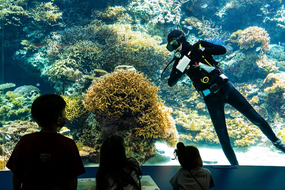 people in diving gear in water