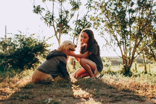 A young woman is kneeling on the grass, gently touching a golden retriever wearing a shirt. They are surrounded by greenery and trees, and the sunlight creates a warm and peaceful atmosphere.