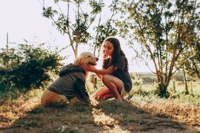 A young woman gently brushing her golden retriever in a sunlit urban apartment.