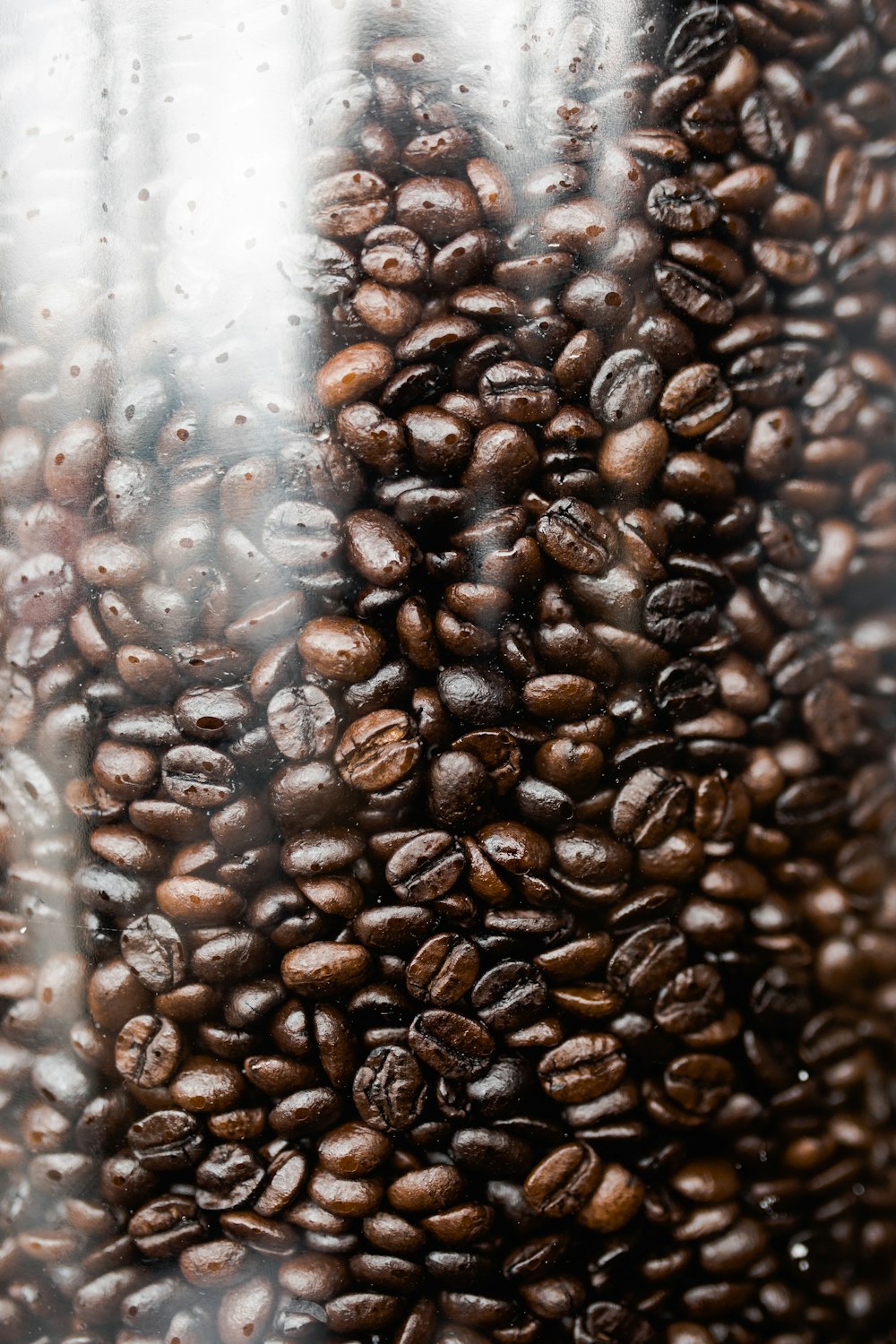 Schwarze Kaffeebohnen auf durchsichtigem Plastikbehälter