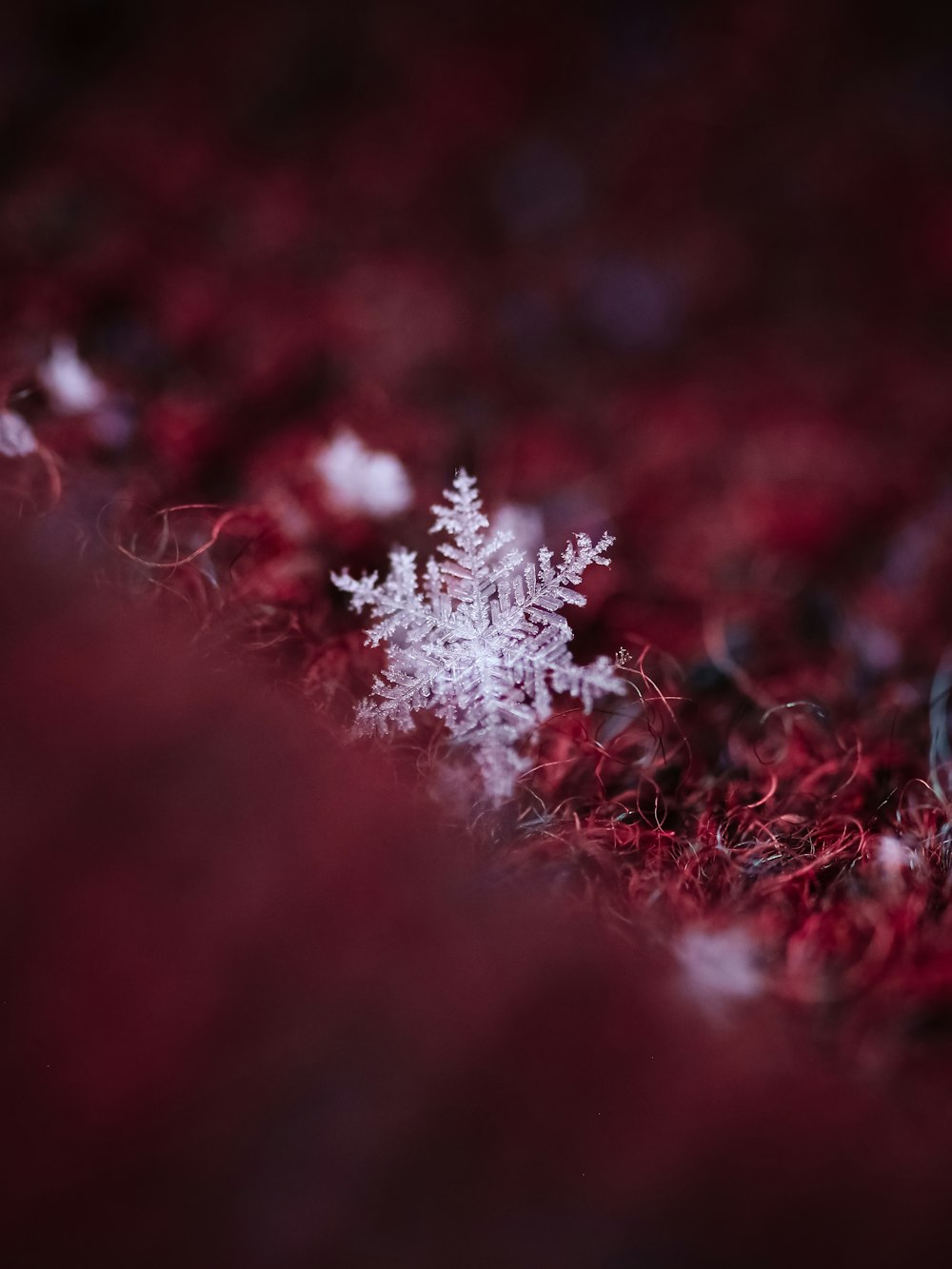 weiße Schneeflocken auf rotem Textil