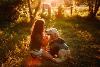 A warm moment of Veena gently grooming a happy golden retriever in a sunlit garden.