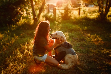 A warm moment of Veena gently grooming a happy golden retriever in a sunlit garden.