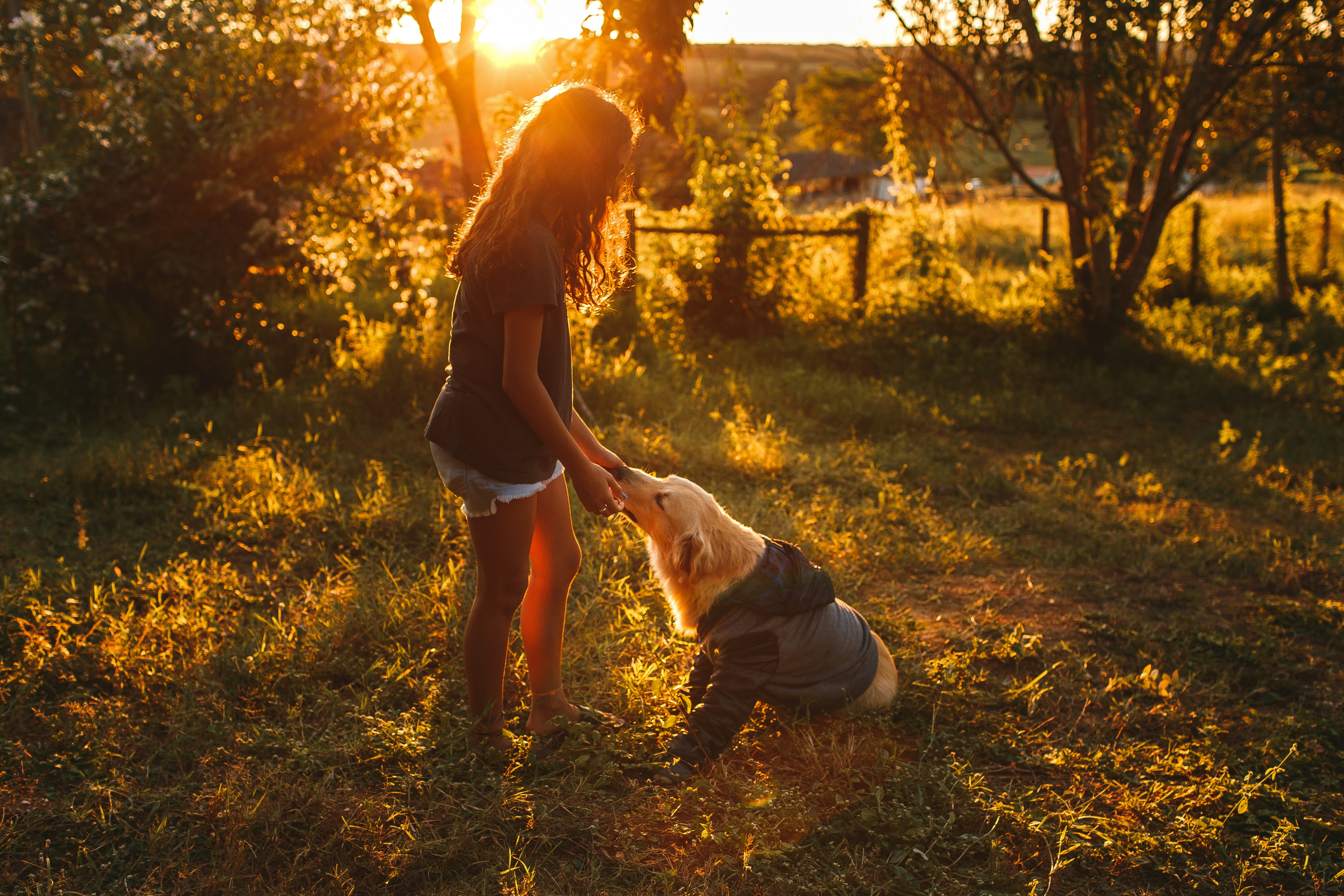 Arlo Guru Review - Why the HID Hub is So Popular