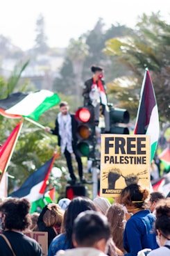 people gathering on street during daytime