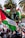 A large crowd gathers outdoors holding Palestinian flags with palm trees visible in the background. People are dressed in various clothing, and one individual is seen elevated above the crowd. Signs and traffic lights are also present in the scene, with vibrant colors and bustling activity.