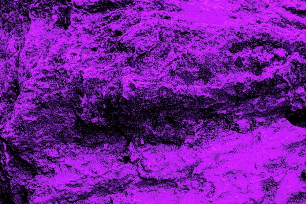 a close up of a rock with a purple background