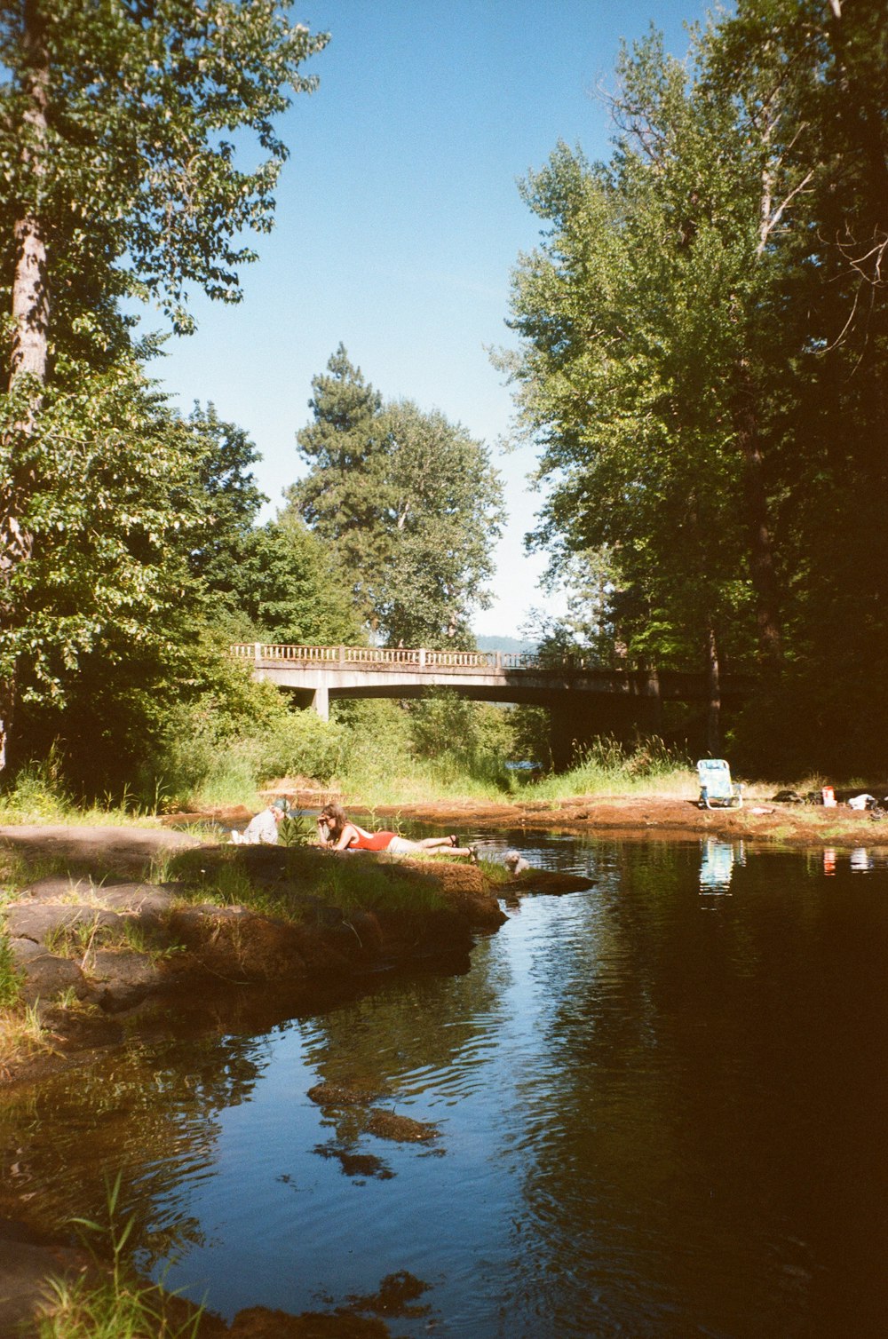 green trees beside river under blue sky during daytime