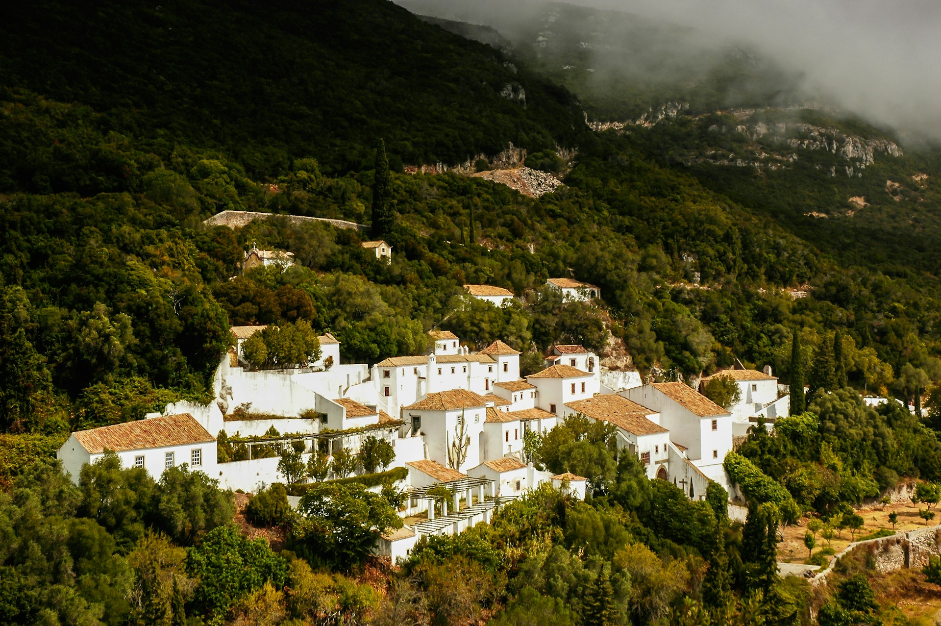 white and brown concrete houses on green mountain