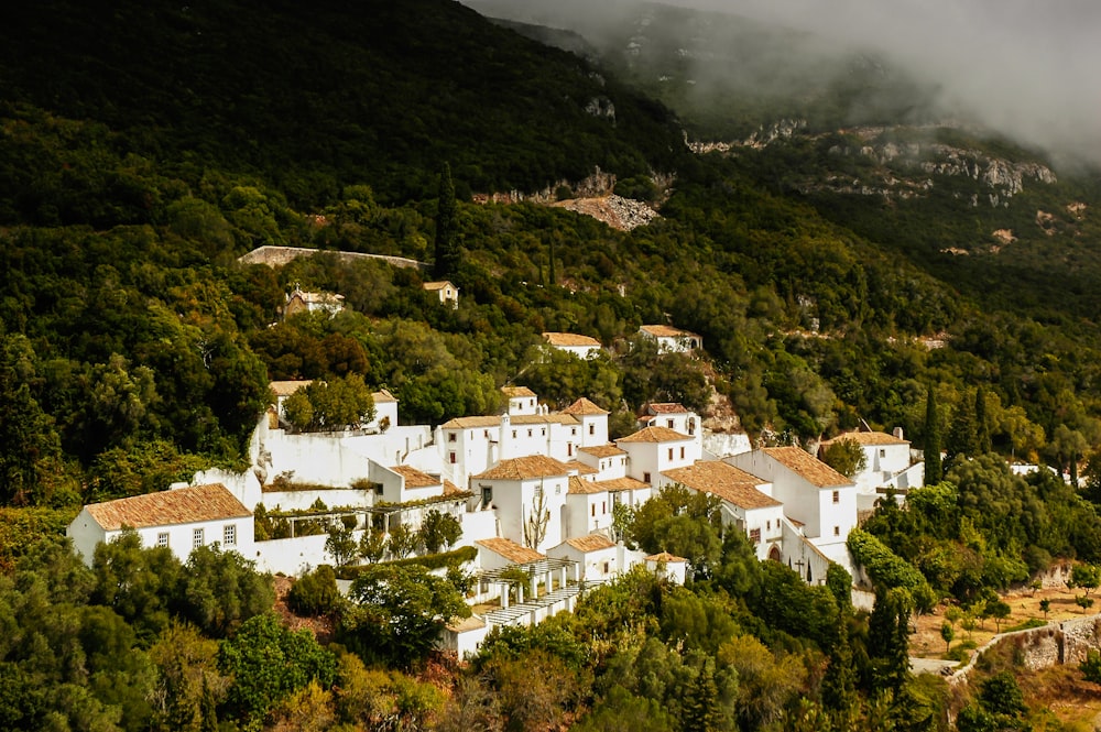 white and brown concrete houses on green mountain