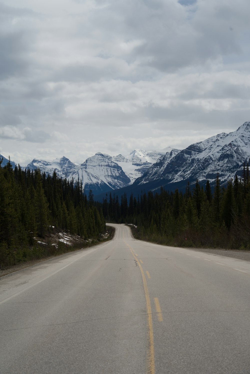 gray concrete road between green trees and mountains during daytime