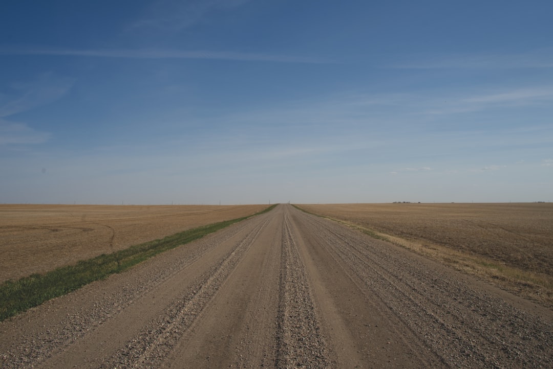 brown dirt road between green grass field under blue sky during daytime