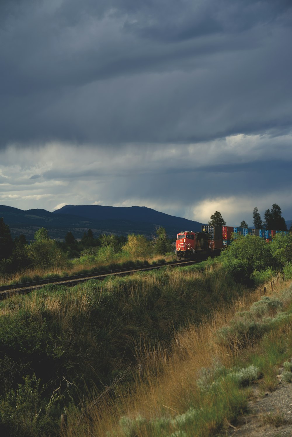 昼間の曇り空の下、緑の芝生原近くの線路を走る赤い列車