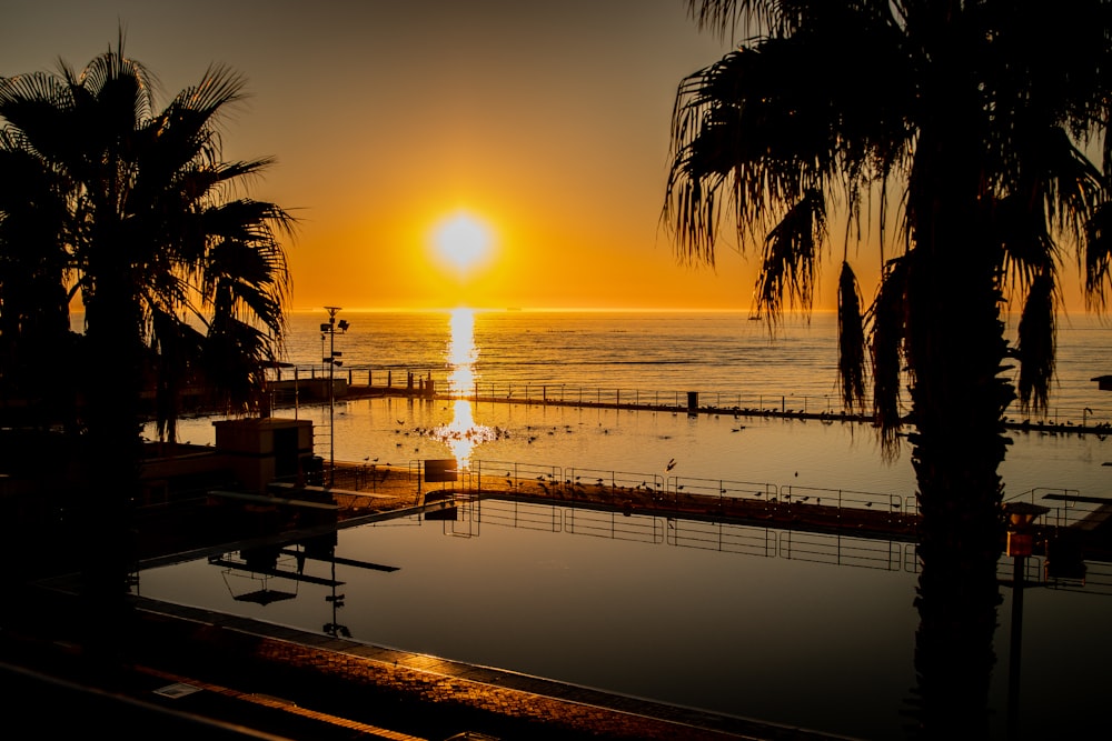 silhueta de palmeiras perto do corpo de água durante o pôr do sol