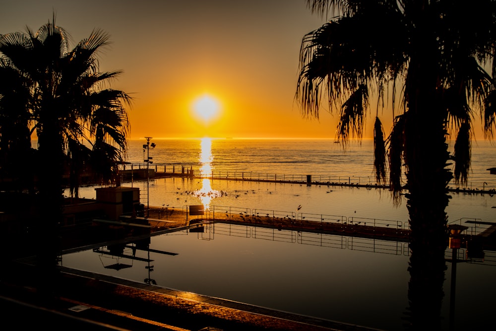 silhouette of palm trees near body of water during sunset