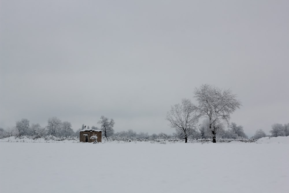 brown wooden house on snow covered ground