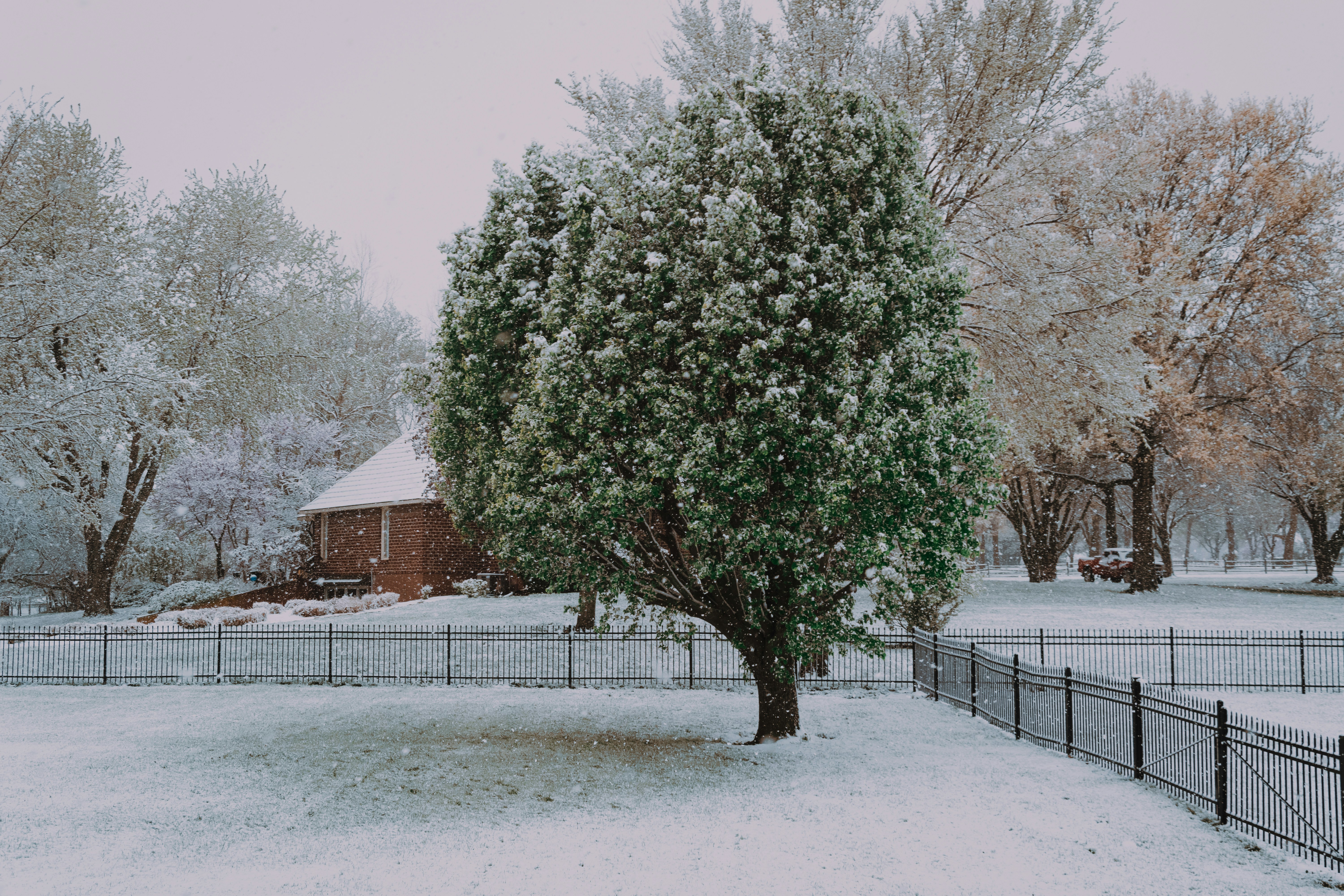 Photo by framesforyourheart