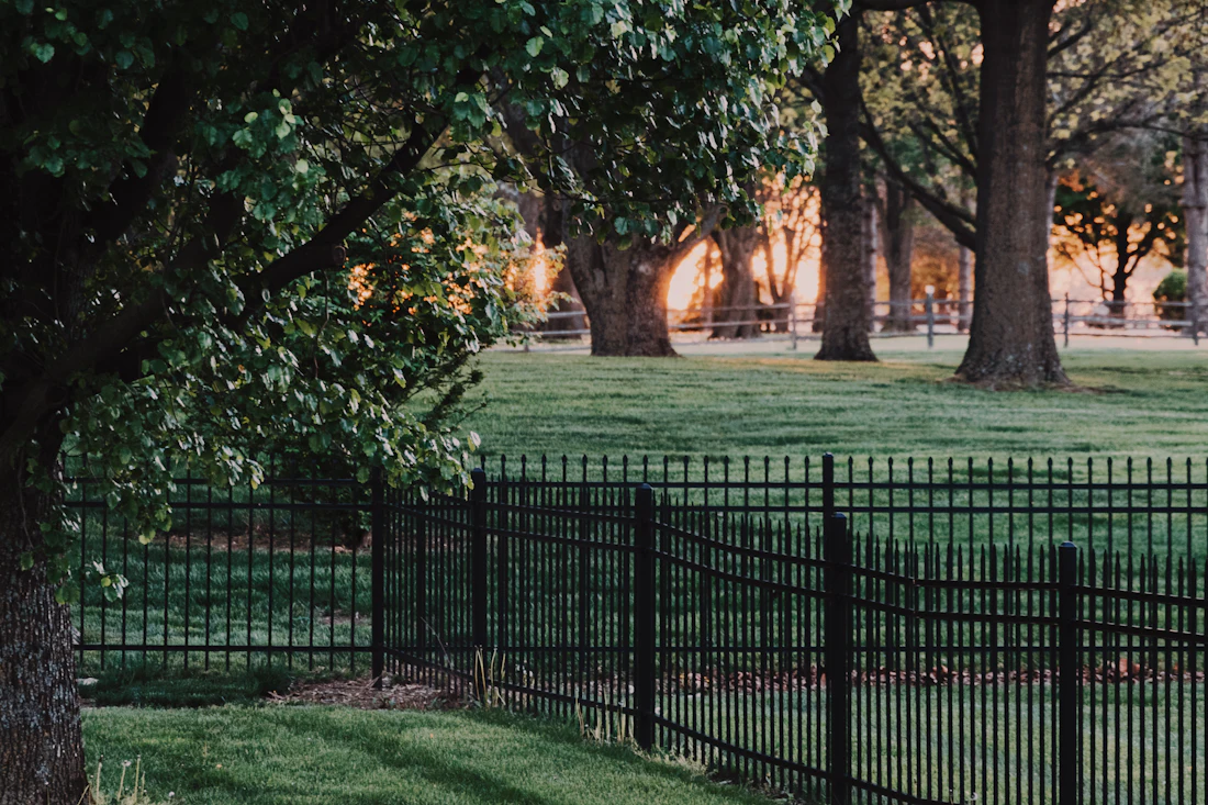 Black metal ornamental fence across a green field