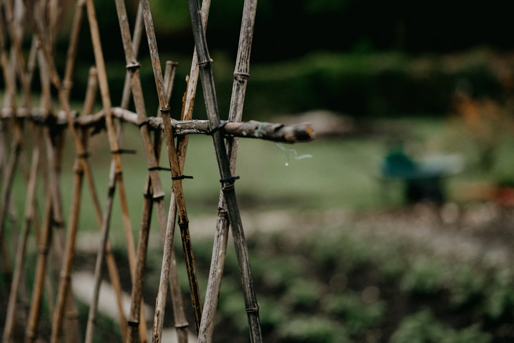 brown wooden stick in tilt shift lens