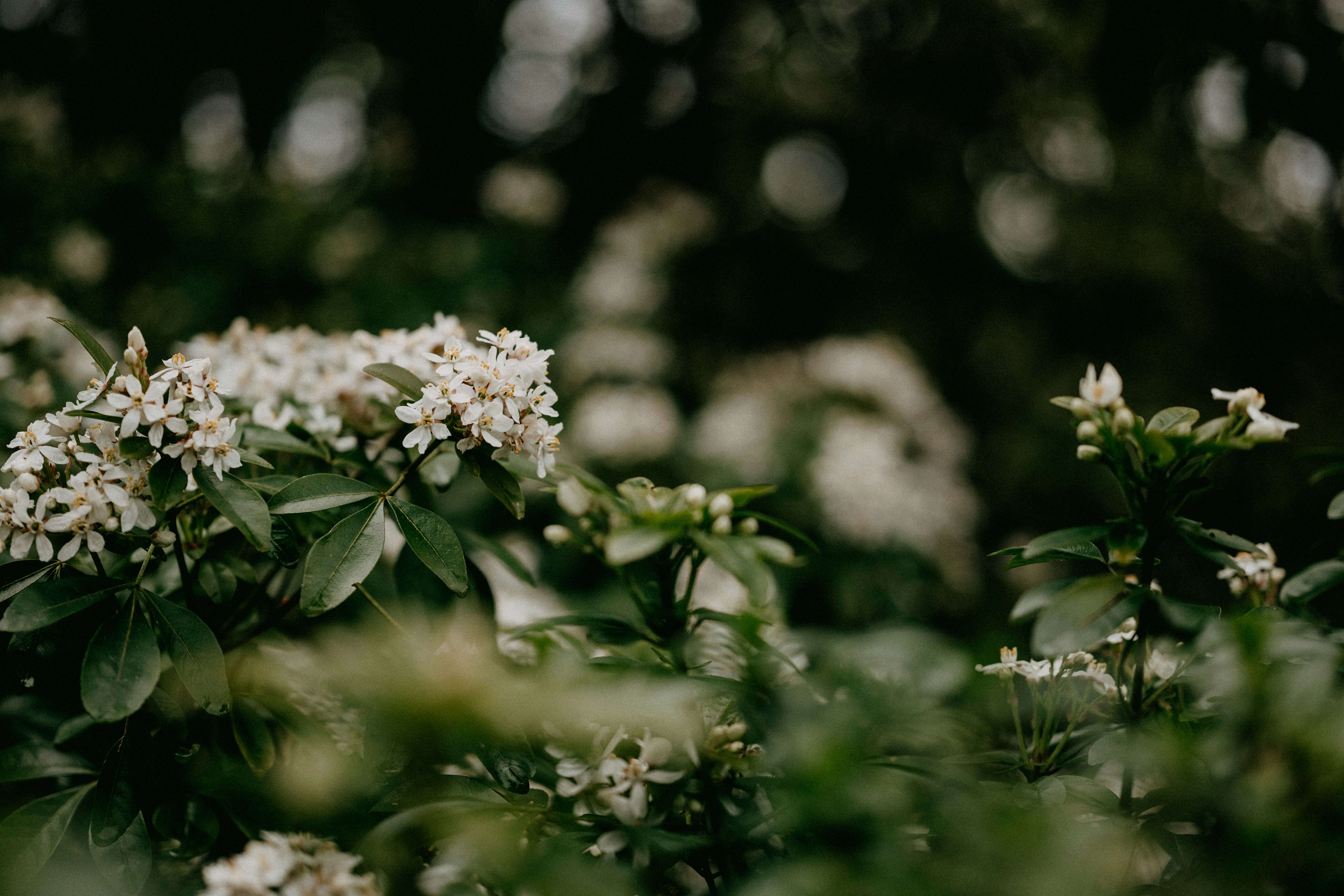 Photo by anniespratt