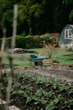 green and brown wheelbarrow on brown soil