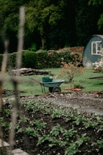 green and brown wheelbarrow on brown soil