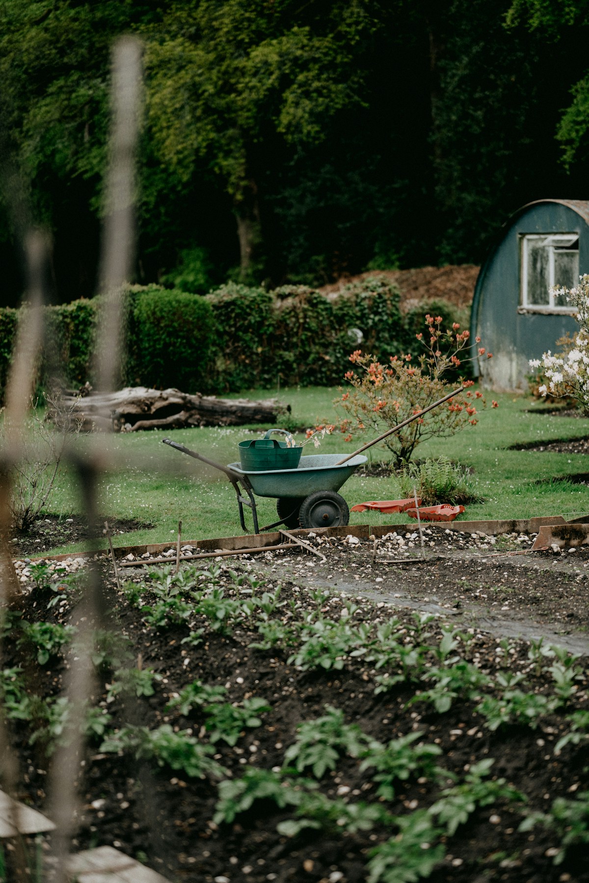 Gardening and Landscaping image background image