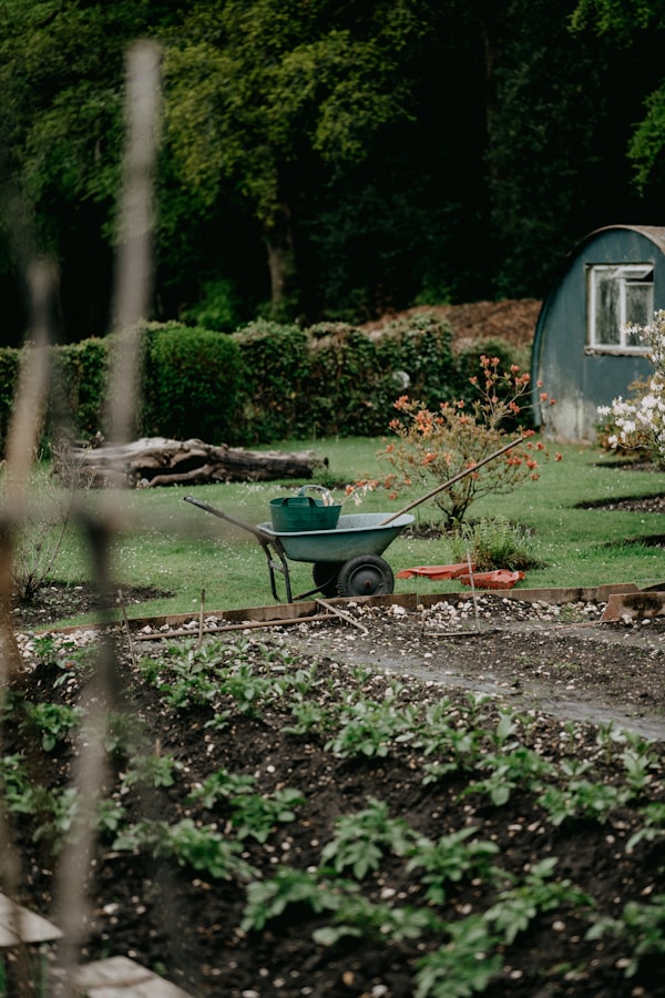 Schubkarre in einem Garten