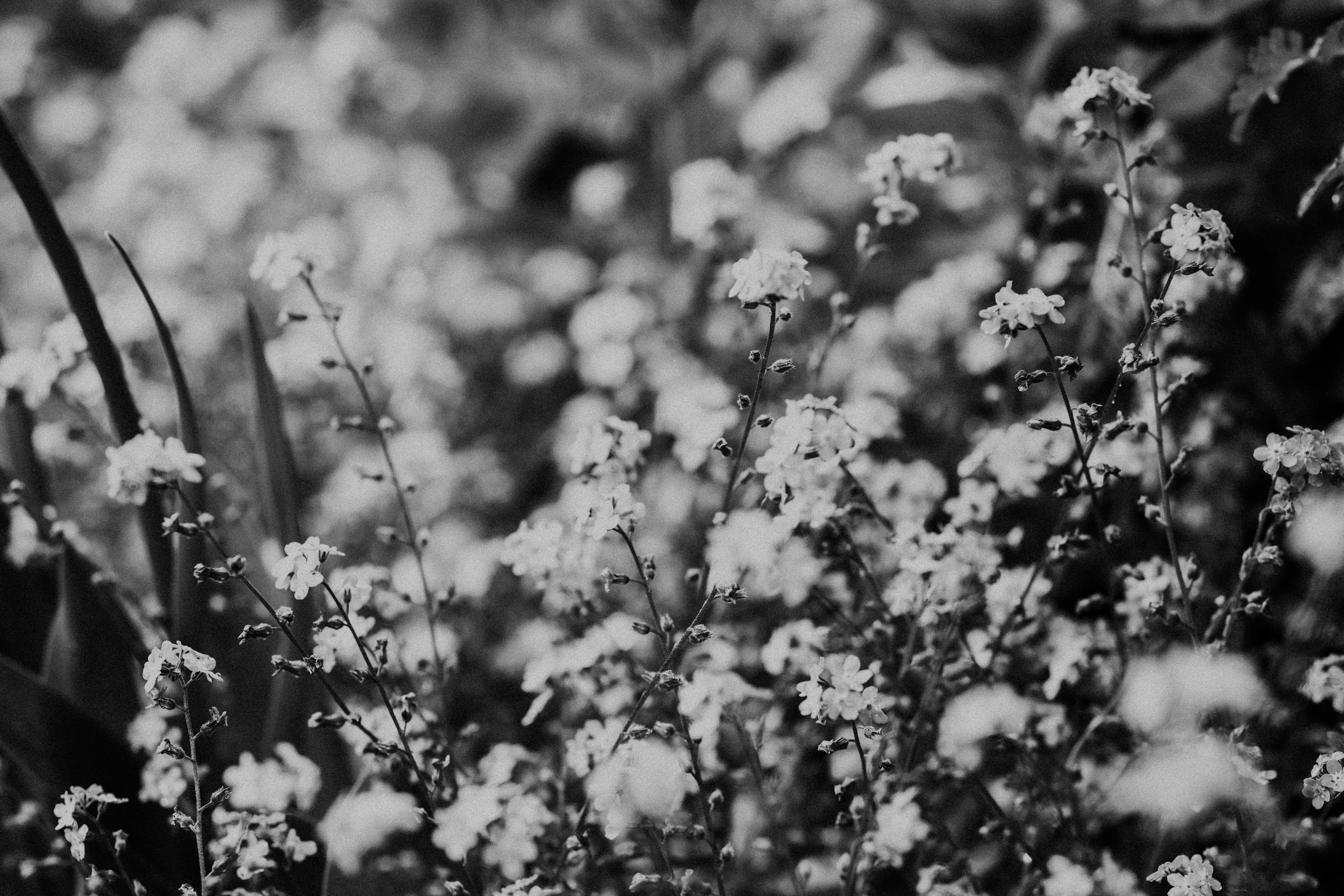 Photo by anniespratt