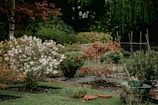 A garden with various plants and shrubs, some with white and orange flowers. There are sections divided with low wooden borders and a wheelbarrow nearby. A pair of orange rubber clogs is placed on the grass, and a wire fence runs along the background.
