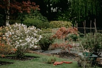 Garden Maintenance and design with leaf clearance in Bridgwater Somerset UK
