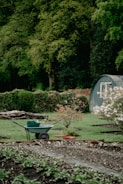 A lush garden scene with a wheelbarrow in the foreground, which contains gardening tools. In the background, there is a small shed and a variety of green foliage, including a flowering bush and a few small trees. The garden appears well-maintained with freshly tilled soil and neatly arranged plants.