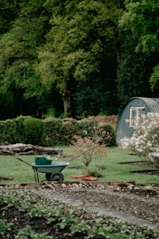 A lush garden scene with a wheelbarrow in the foreground, which contains gardening tools. In the background, there is a small shed and a variety of green foliage, including a flowering bush and a few small trees. The garden appears well-maintained with freshly tilled soil and neatly arranged plants.