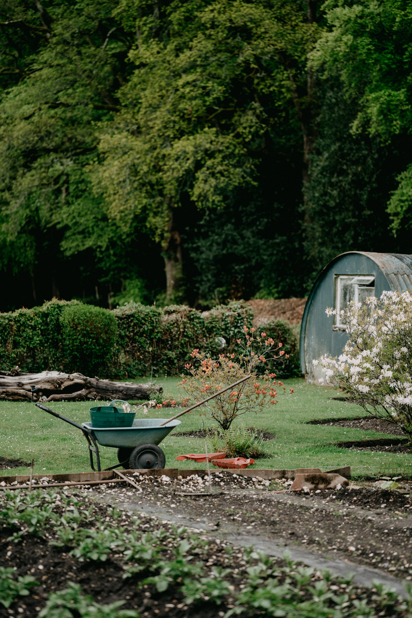 Tuinrealisatie 2
